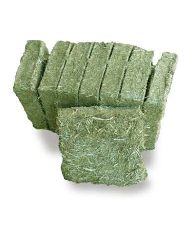 CerealCrock
