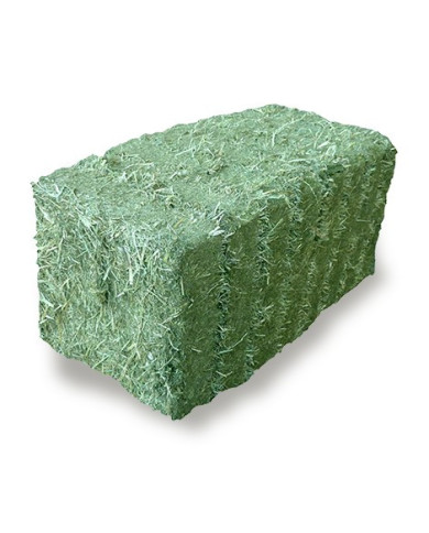 CerealCrock